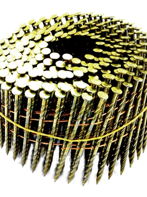 Coil nail